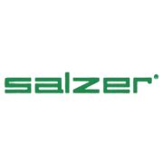bom: 517059|Salzer Electronics Ltd (BOM:517059) Stock Price, Trades.